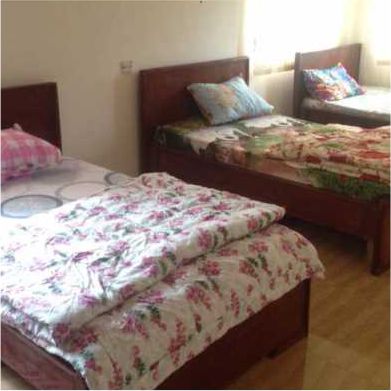 image of synapse oak facility